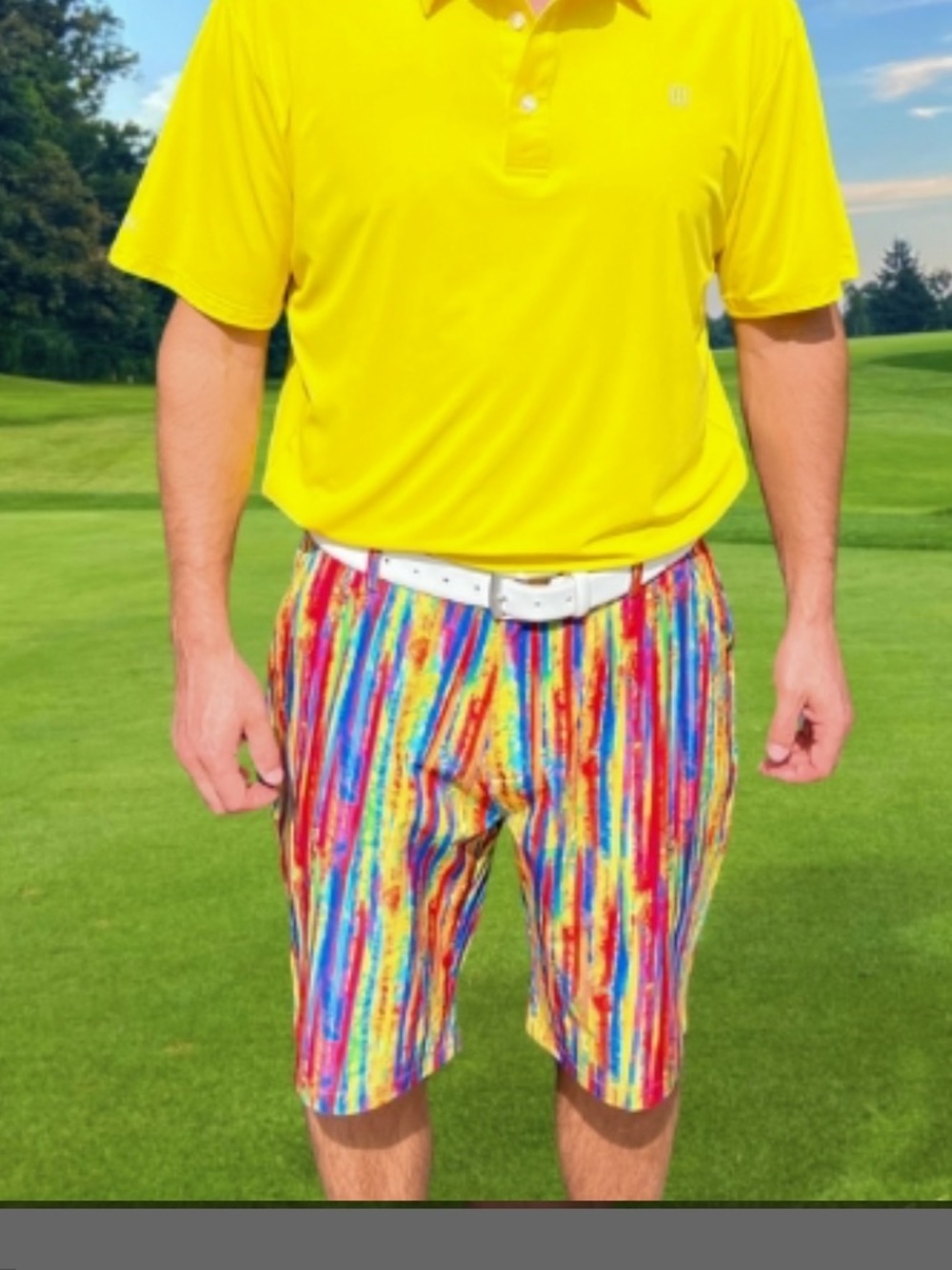 Hreski Golf Shorts Bold Abstract Paint Striped Expandable Waistband Mens 46